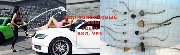 марки nbome Балахна